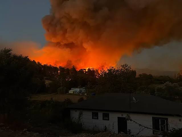 CİĞERLERİMİZ ANTALYA'DA YANIYOR...