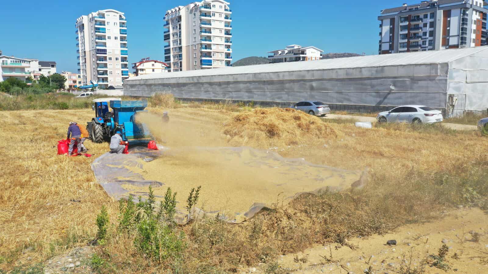 505515634 1069817735245908 4843159475404889395 n 9e5a8