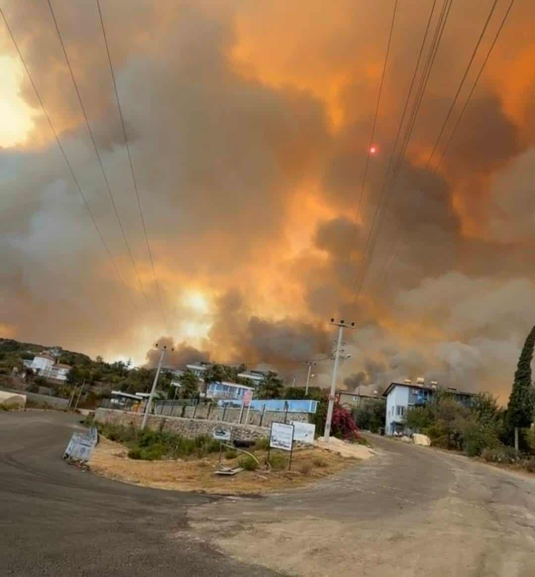 548371639 2303221380110954 8532322538397147401 n e3445