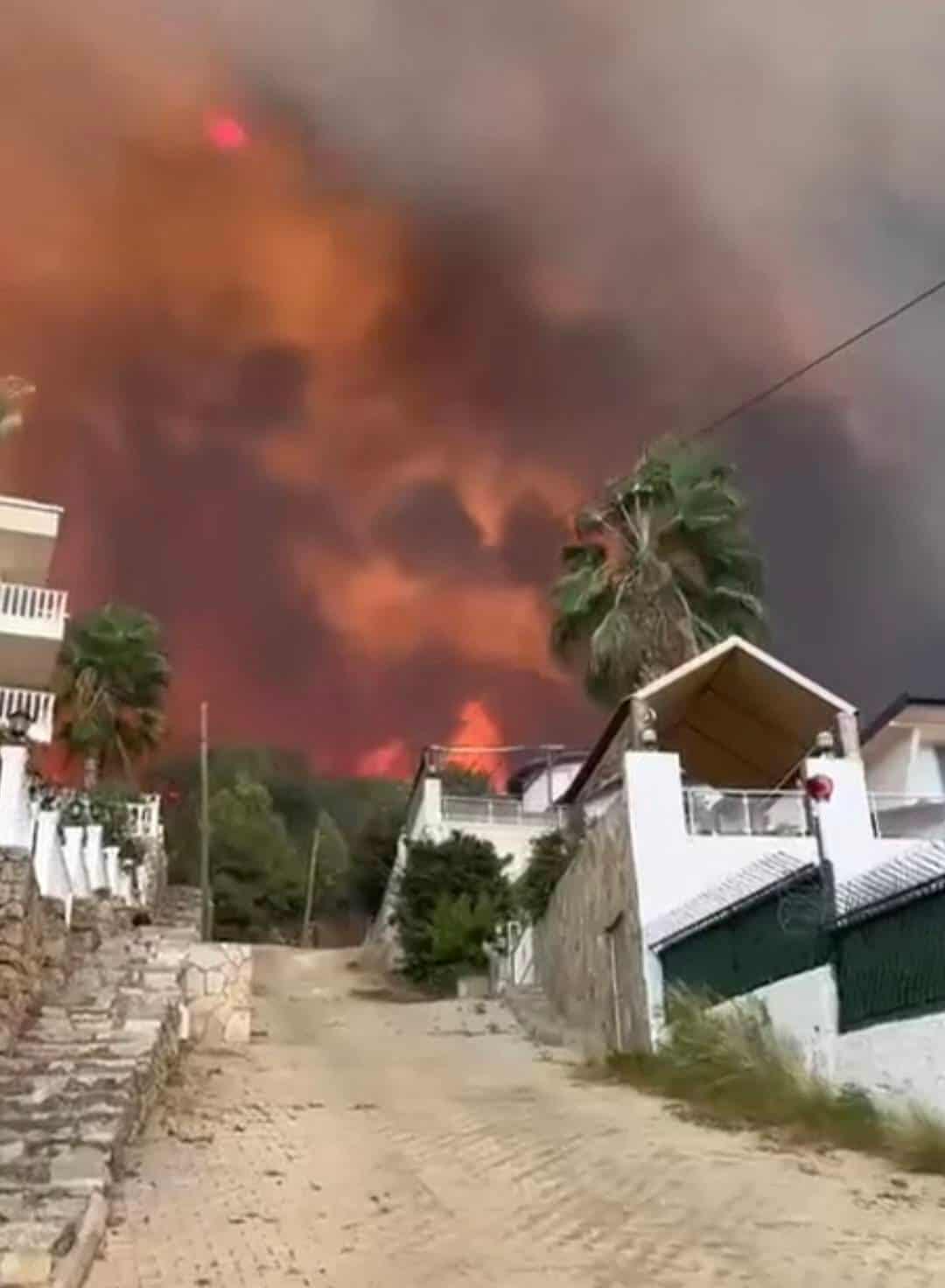 551105441 1279567666729360 2603409071371663780 n 538ba