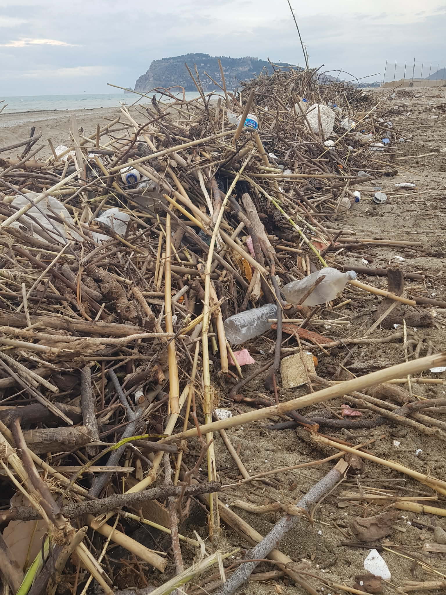 622593378 905651711844179 4676856935394473075 n 1af09