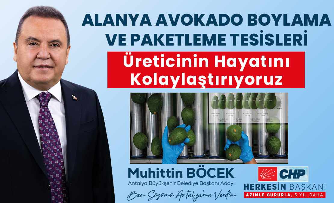 BÖCEK PAKETLEME TESİSLERİ YAPIYOR...