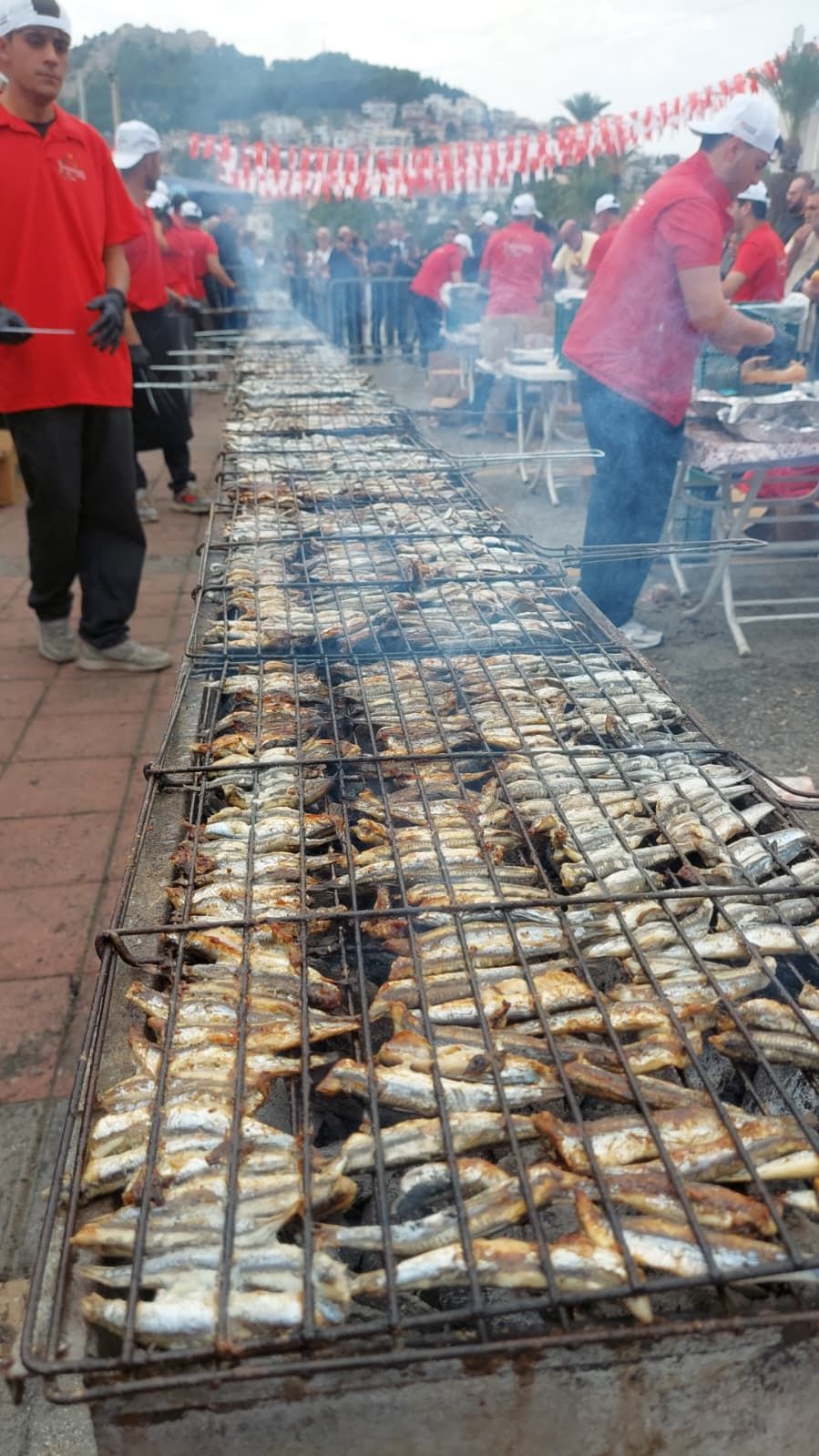 hamsi festivali 2 591880580 691012227169734 4578582906873098807 n 1 38d86