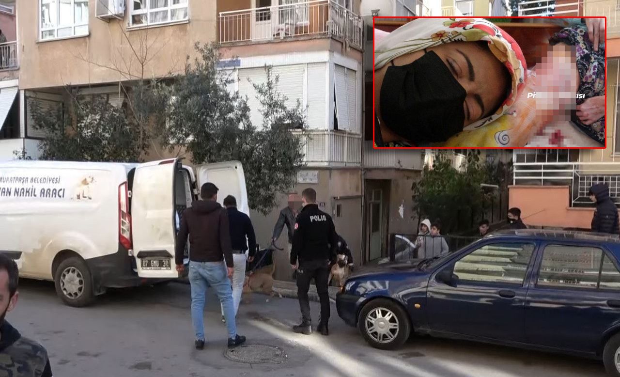 Antalya’da pitbull dehşeti! 45 yaşındaki kadın ölümden döndü...